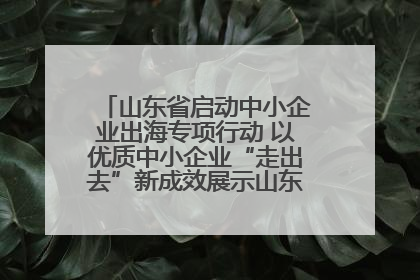 山东省启动中小企业出海专项行动 以优质中小企业“走出去”新成效展示山东产业发展新形象