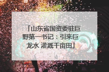 山东省国资委驻巨野第一书记：引来巨龙水 灌溉千亩田