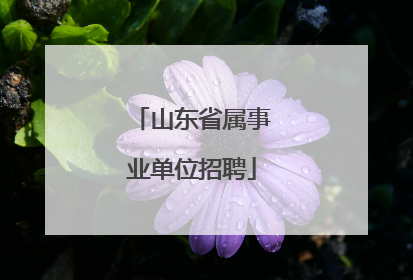 山东省属事业单位招聘