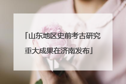 山东地区史前考古研究重大成果在济南发布