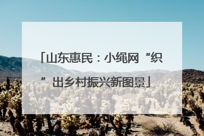 山东惠民：小绳网“织”出乡村振兴新图景