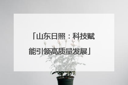 山东日照：科技赋能引领高质量发展