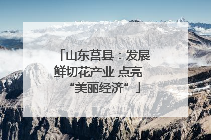 山东莒县：发展鲜切花产业 点亮“美丽经济”