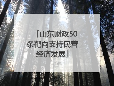 山东财政50条靶向支持民营经济发展