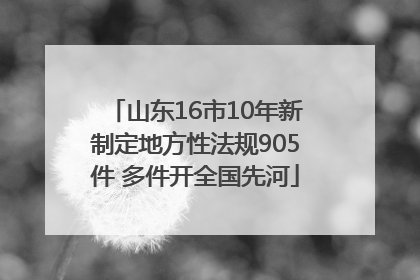 山东16市10年新制定地方性法规905件 多件开全国先河