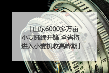 山东6000多万亩小麦陆续开镰 全省将进入小麦机收高峰期