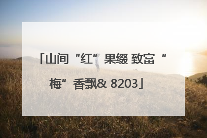 山间“红”果缀 致富“梅”香飘& 8203