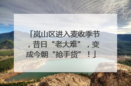 岚山区进入麦收季节，昔日“老大难”，变成今朝“抢手货”！