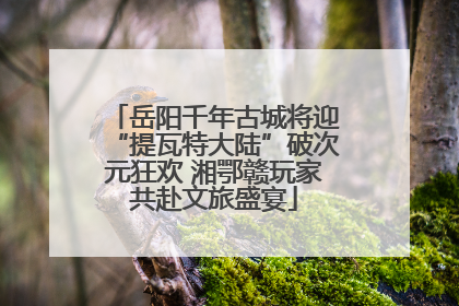 岳阳千年古城将迎“提瓦特大陆”破次元狂欢 湘鄂赣玩家共赴文旅盛宴