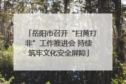 岳阳市召开“扫黄打非”工作推进会 持续筑牢文化安全屏障