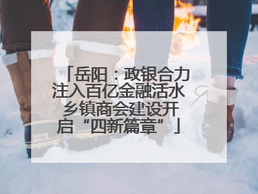 岳阳：政银合力注入百亿金融活水 乡镇商会建设开启“四新篇章”