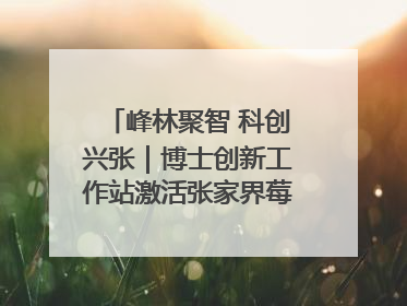 峰林聚智 科创兴张｜博士创新工作站激活张家界莓茶产业新动能