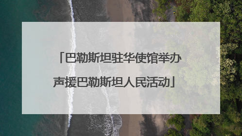 巴勒斯坦驻华使馆举办声援巴勒斯坦人民活动