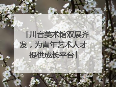 川音美术馆双展齐发，为青年艺术人才提供成长平台