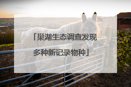 巢湖生态调查发现多种新记录物种