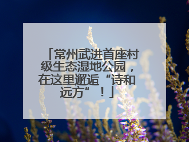 常州武进首座村级生态湿地公园，在这里邂逅“诗和远方”！