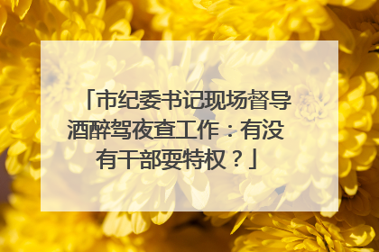 市纪委书记现场督导酒醉驾夜查工作：有没有干部耍特权？