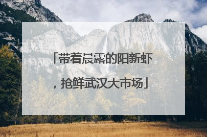带着晨露的阳新虾，抢鲜武汉大市场