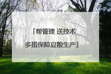 帮管理 送技术 多措保障夏粮生产