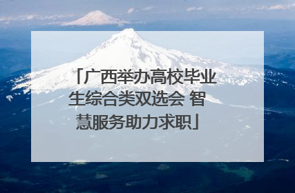 广西举办高校毕业生综合类双选会 智慧服务助力求职