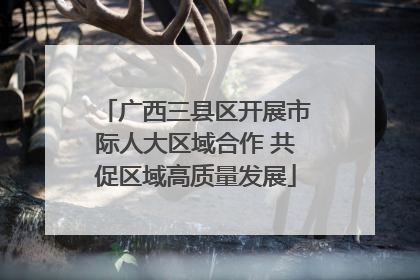 广西三县区开展市际人大区域合作 共促区域高质量发展