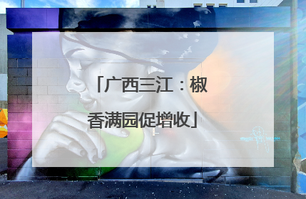 广西三江：椒香满园促增收