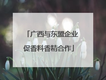 广西与东盟企业促香料香精合作