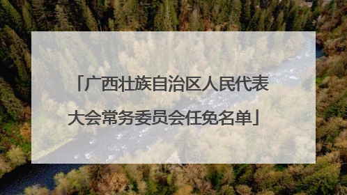 广西壮族自治区人民代表大会常务委员会任免名单