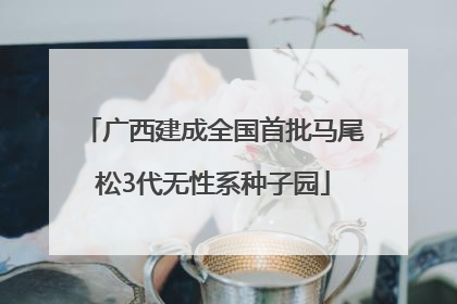 广西建成全国首批马尾松3代无性系种子园