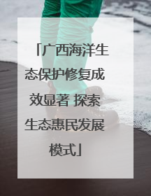 广西海洋生态保护修复成效显著 探索生态惠民发展模式