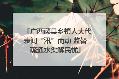 广西藤县乡镇人大代表闻“汛”而动 监督疏通水渠解民忧