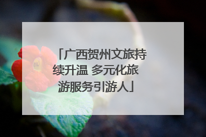 广西贺州文旅持续升温 多元化旅游服务引游人