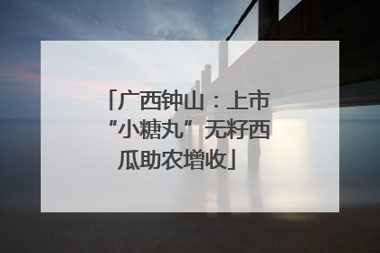 广西钟山：上市“小糖丸”无籽西瓜助农增收