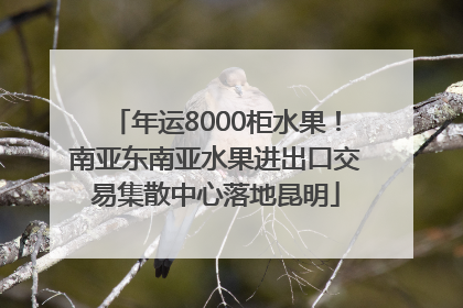 年运8000柜水果！南亚东南亚水果进出口交易集散中心落地昆明
