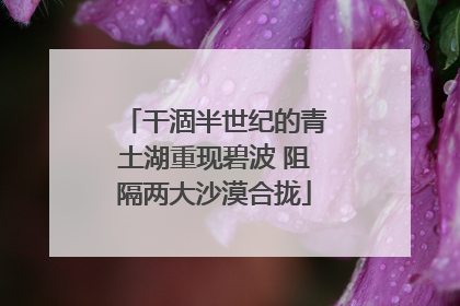 干涸半世纪的青土湖重现碧波 阻隔两大沙漠合拢