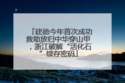 建德今年首次成功救助放归中华穿山甲，浙江破解“活化石”续存密码
