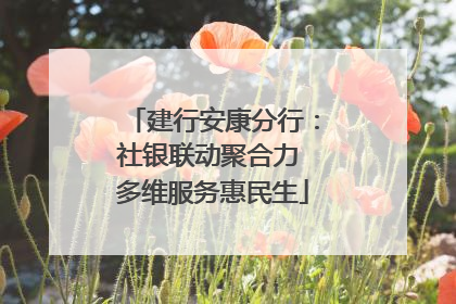 建行安康分行：社银联动聚合力 多维服务惠民生