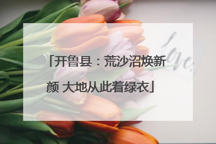 开鲁县：荒沙沼焕新颜 大地从此着绿衣