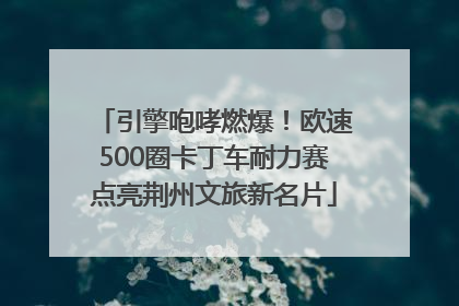 引擎咆哮燃爆！欧速500圈卡丁车耐力赛点亮荆州文旅新名片