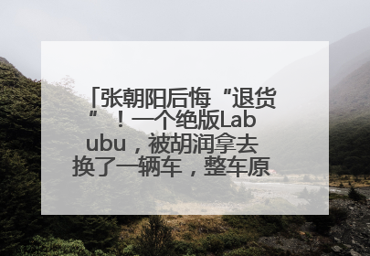 张朝阳后悔“退货”！一个绝版Labubu，被胡润拿去换了一辆车，整车原价值上百万元