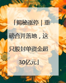 揭秘涨停｜重磅合并落地，这只股封单资金超30亿元