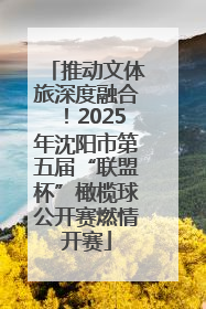 推动文体旅深度融合！2025年沈阳市第五届“联盟杯”橄榄球公开赛燃情开赛