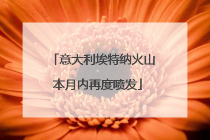 意大利埃特纳火山本月内再度喷发