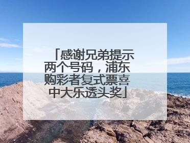 感谢兄弟提示两个号码，浦东购彩者复式票喜中大乐透头奖