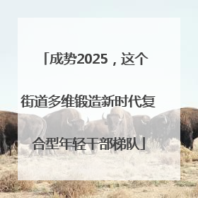 成势2025，这个街道多维锻造新时代复合型年轻干部梯队