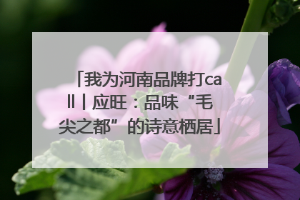 我为河南品牌打call丨应旺：品味“毛尖之都”的诗意栖居