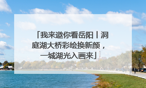 我来邀你看岳阳丨洞庭湖大桥彩绘换新颜，一城湖光入画来