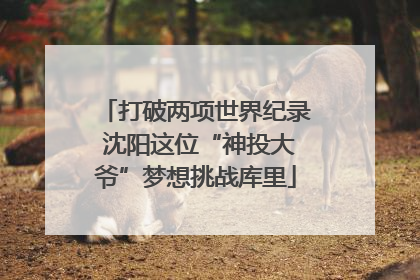 打破两项世界纪录 沈阳这位“神投大爷”梦想挑战库里