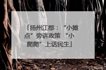 扬州江都：“小摊点”旁讲政策 “小爬爬”上话民生
