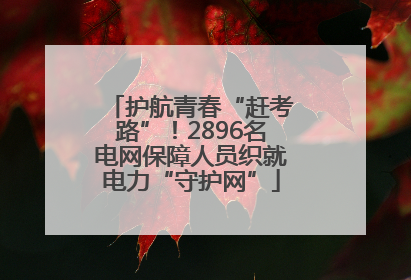 护航青春“赶考路”！2896名电网保障人员织就电力“守护网”